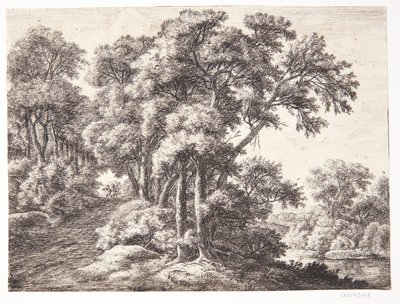 Forest Road by a River by Anthonie Waterloo