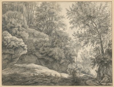 Forest Study by Anthonie Waterloo