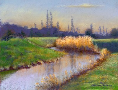 Winter Evening on the Clyst by Anthony Rule
