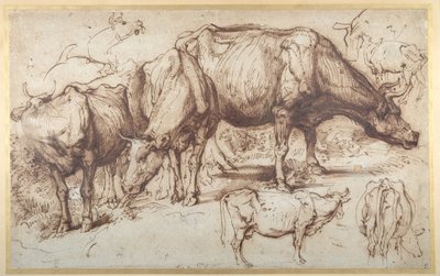 Cattle in Pasture, c.1618-20 by Anthony van Dyck