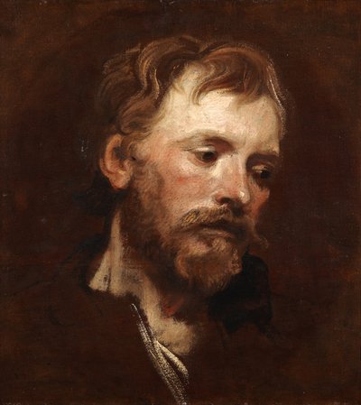 Study of a Young Bearded Man by Anthony van Dyck