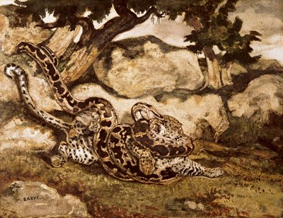 A Python Killing a Tiger by Antoine Louis Barye