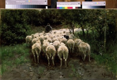 Sheep in the Forest by Anton Mauve