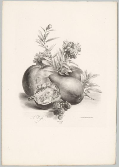 Flowers, Apples, Pear, Pomegranate, and Blackberries (Flower and Fruit Studies, 10th installment) by Anton Weiss