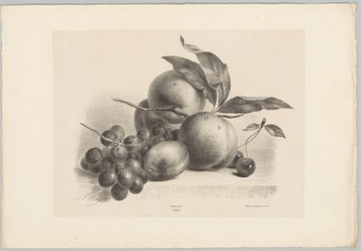 Grapes, Plum, Peaches, and Cherries (Flower and Fruit Studies, 10th installment) by Anton Weiss