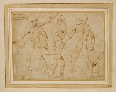 Three Male Nudes, Front, Back, Profile by Antonio (attr. to) Pollaiuolo