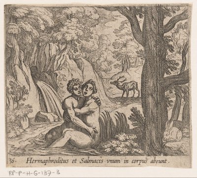 Salmacis and Hermaphroditus (Metamorphoses of Ovid series) by Antonio Tempesta