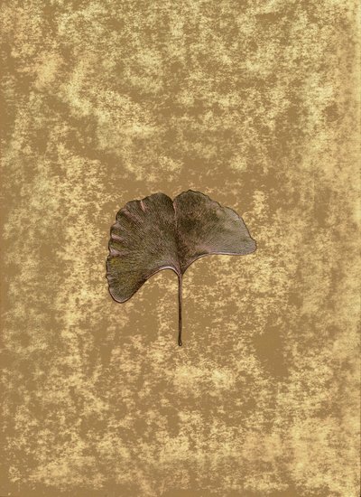 Ginkgo 3 by Antonius Antonius