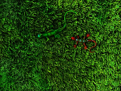 Grass-4, 2014 by Antonius Antonius