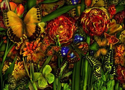 Summertime, 2012 by Antonius Antonius