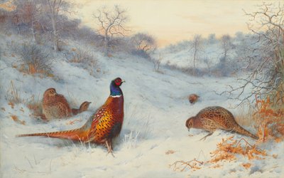 Pheasant in the Snow by Archibald Thorburn