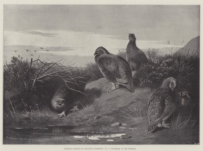 Sporting Subjects, Daybreak on the Twelfth by Archibald Thorburn