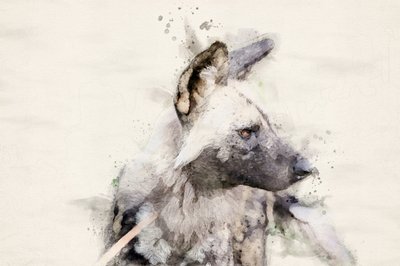 Serene Wild Dog Watercolor by Arno Du Toit