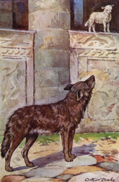 Aesop