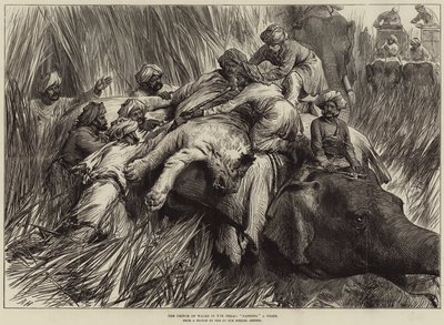 The Prince of Wales in the Terai, Padding a Tiger by Arthur Hopkins