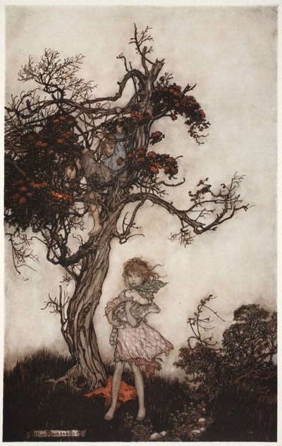 His children were as ragged and wild as if they belonged to nobody., from Rip Van Winkle by Washington Irving, pub. 1910 by Arthur Rackham