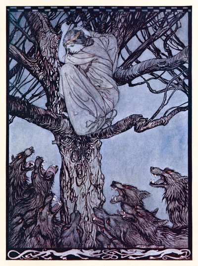 She looked with angry woe at the straining and snarling horde below. from The Wooing of Becfola in Irish Fairy Tales by Arthur Rackham