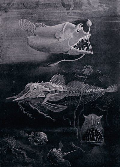 Deep-Sea Fish by Arthur Twidle