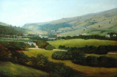 Centre Vale Park and Burnley Valley by Artist Unknown