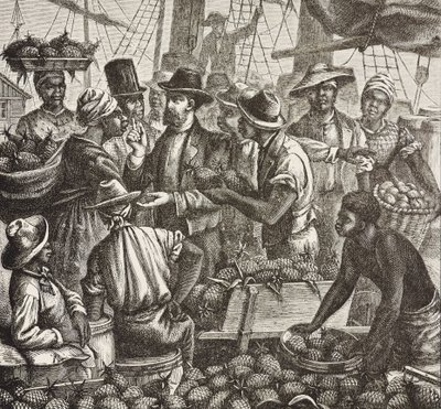 History of England (C19th). Colonization (1880). Bahama selling pineapples. English colony in New Providence Island. Pineapples were one of the products for export from the port of Nassau, most important. Engraving. Private Collection by Artist Unknown