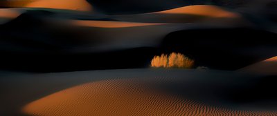 Golden Hour Desert Dunes by Asef Azimaie