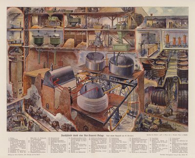 Cross Section of a Brewery by August (after) Dressel