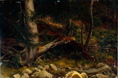 Study of Forest Floor by August Cappelen