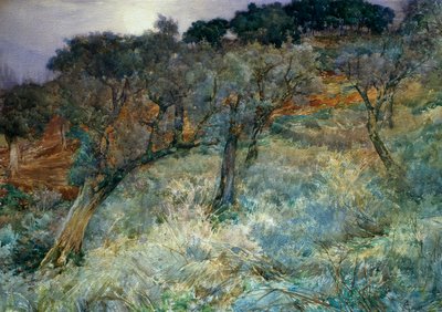 Olive Grove by Augusto Corelli