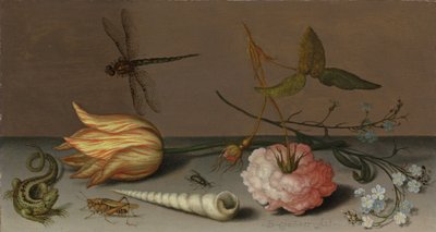 A tulip, a carnation, spray of forget-me-nots, with a shell, a lizard and a grasshopper, on a ledge, a dragonfly in flight by Balthasar van der Ast