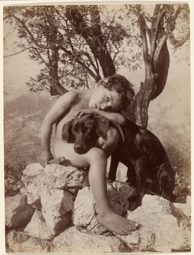 Young Nude Boy and Dog by Baron Wilhelm von Gloeden