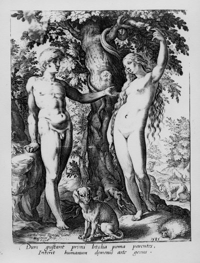 Adam and Eve, engraved by Hendrik Goltzius, 1585 by Bartholomaeus Spranger