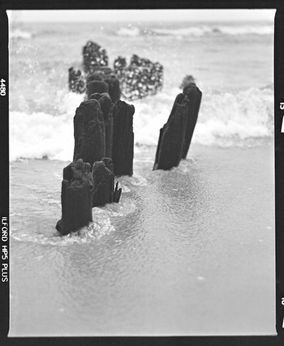 Weathered Beach Posts by Beata Brząkalik-Gburek