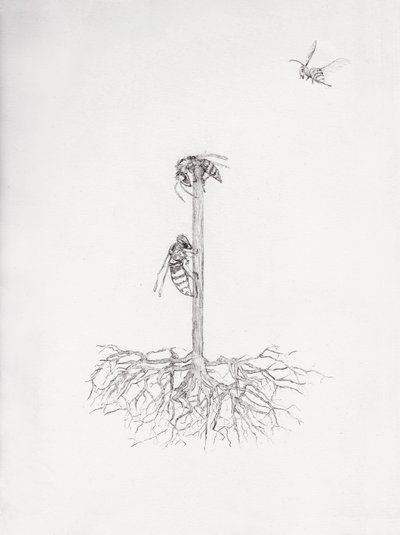 Wasp Tree by Bella Larsson