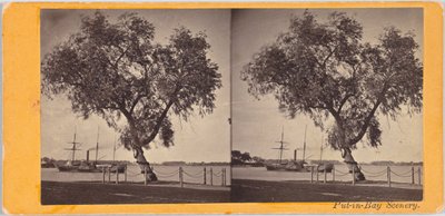 Willow Tree. Planted by Com. Perry and Other Survivors of the Battle of Lake Erie, to Mark the Burial Place of the Slain. by Benedict