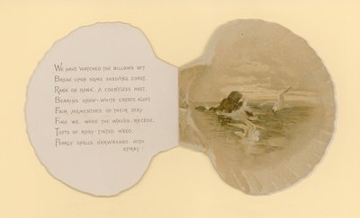Illustration for Booklet Entitled Sea Shells by Benjamin D. Sigmund