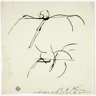 Sketches Related to Painting of Marcus Curtis by Benjamin Robert Haydon
