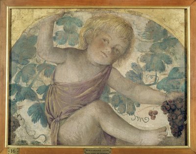 Harvesting Putti - Putto Under a Pergola by Bernardino Luini