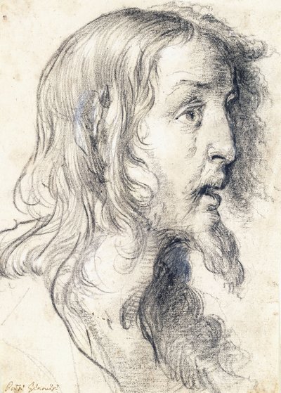 The Head of Christ in Profile to the Right by Bernardo Strozzi