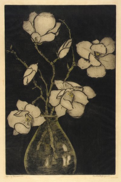 Spring Blossoms (Tree Magnolia) by Bertha E. Jaques