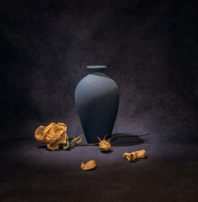 Dark Blue Rose Still Life by Betty Liu