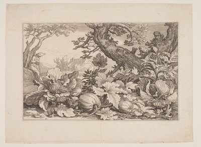 Plate 13, from Landscapes with Farmhouses by Boetius Adams Bolswert
