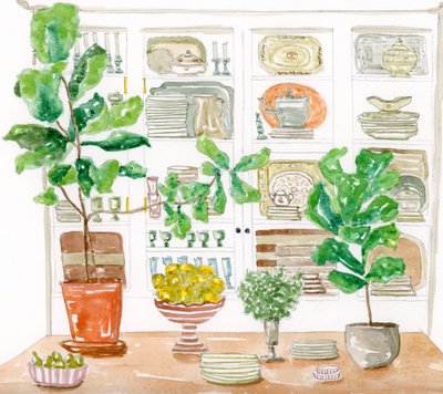 Kitchen Cabinet Plants by Breanna Megan Studio