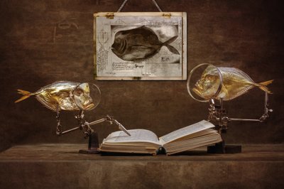 Curious Fish Scholars by Brig Barkow