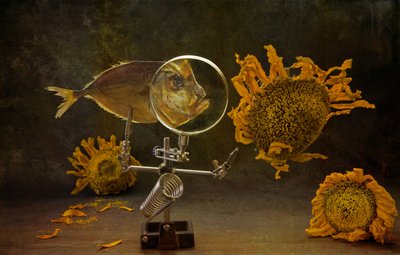 Curious Nature Still Life by Brig Barkow