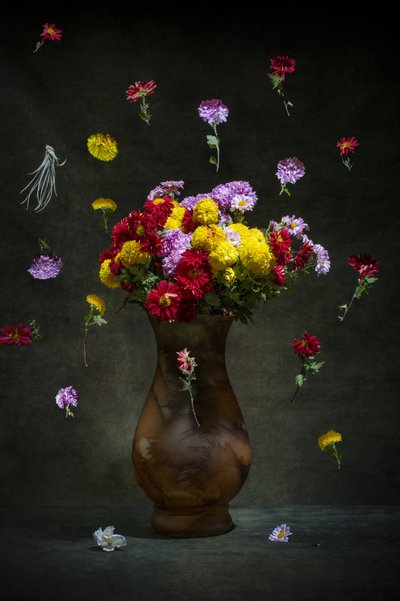 Floating Vibrant Blooms by Brig Barkow