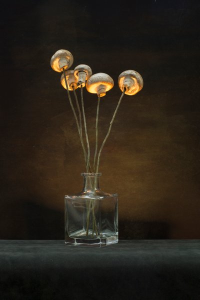 Illuminated Mushroom Vase by Brig Barkow