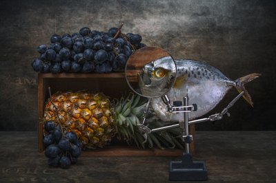 Magnified Fish Still Life by Brig Barkow