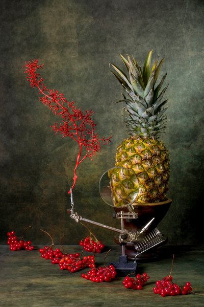 Magnified Pineapple Still Life by Brig Barkow