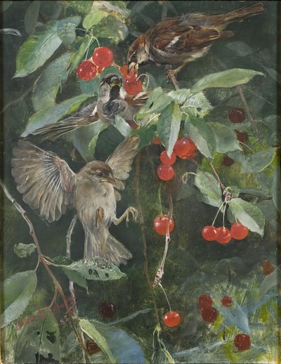 Sparrows in a Cherry Tree by Bruno Andreas Liljefors