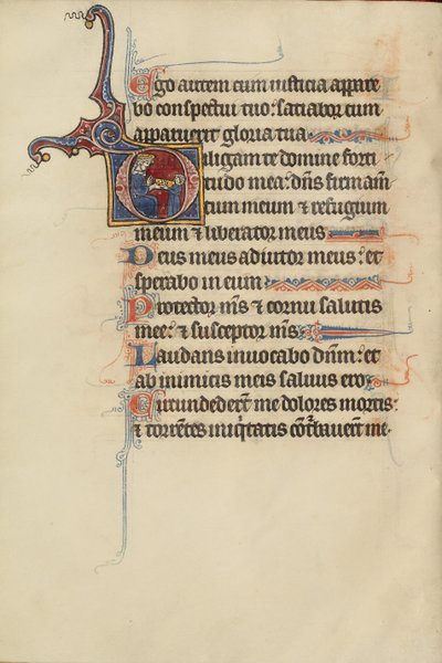 Initial D: A Youth Handing a Crown to David by Bute Master
